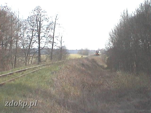 2005-04-25.07 skoki-roszkowo.JPG - Planowy skad Pozna G. - Wgrowiec parset metrw przed Roszkowem Wgrowieckim